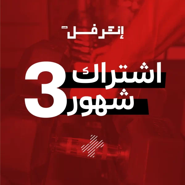 3 Months Summer Offer 2025